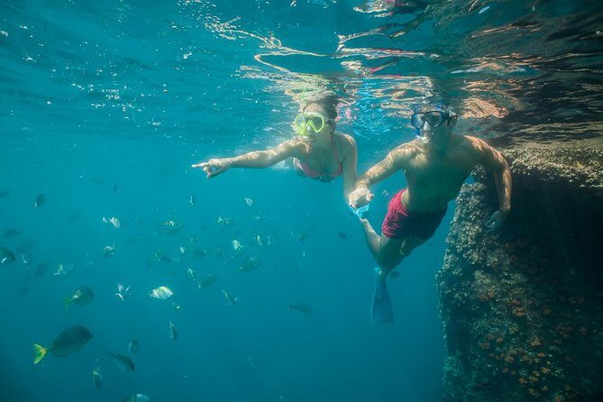 Land's End & Snorkel Tour in a Glass Bottom Boat (VisitA Cabo) - What Travelers Can Expect
