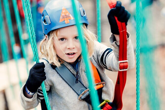 Lane Poole Park Dwellingup - Junior Tree Ropes & Ziplining - A Deep Dive into the Experience