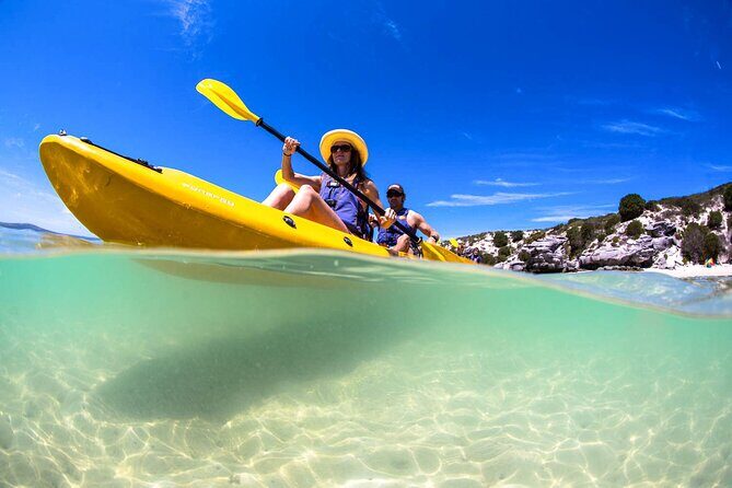 Langebaan Lagoon Island Kayak Experience - An In-Depth Look at the Langebaan Lagoon Kayak Tour