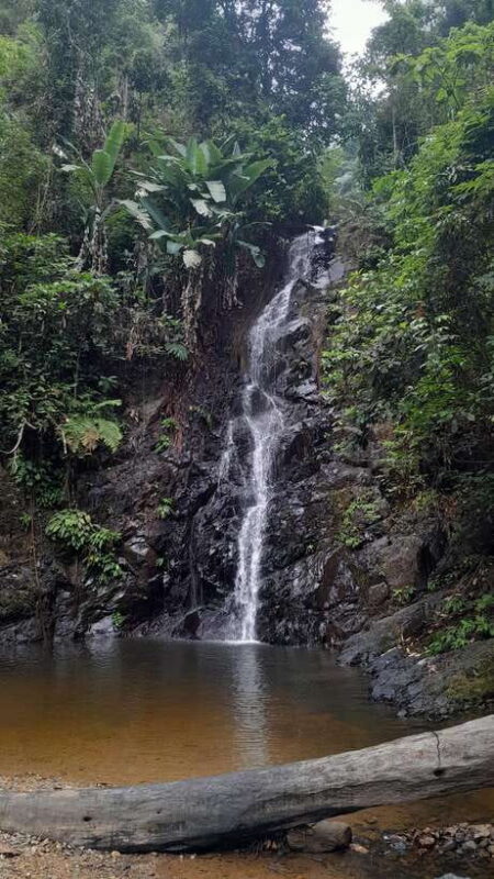 Langkawi: Countryside Bike Tour, Waterfall Swim & Dessert - Exploring Langkawi by Bike: A Genuine Countryside Adventure