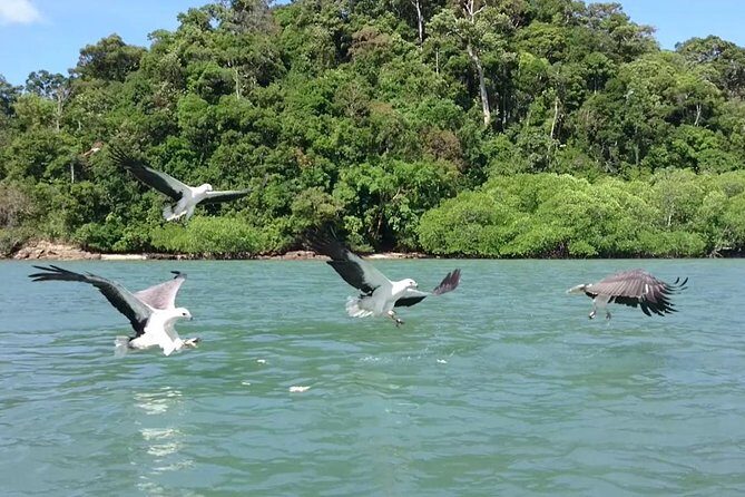 Langkawi Island Hopping Boat Tour with Return Transfer - An In-Depth Look at the Tour Itinerary