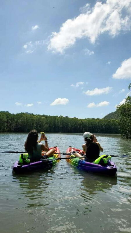 Langkawi : Kilim Geoforest Mangrove Kayak Tour with Lunch - Key Points at a Glance