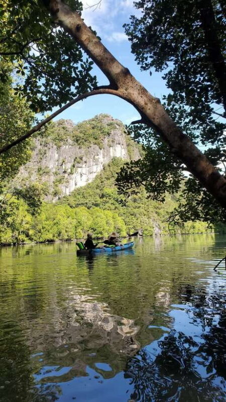 Langkawi : Kilim Geoforest Mangrove Kayak Tour with Lunch - Detailed Breakdown of the Itinerary & Its Benefits