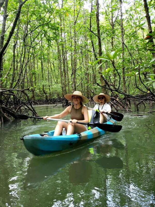 Langkawi : Kilim Geoforest Mangrove Kayak Tour with Lunch - Value & Practical Considerations