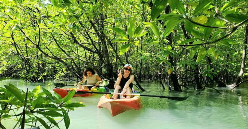 Langkawi : Kilim Geoforest Mangrove Kayak Tour with Lunch - Why This Tour Is a Great Choice