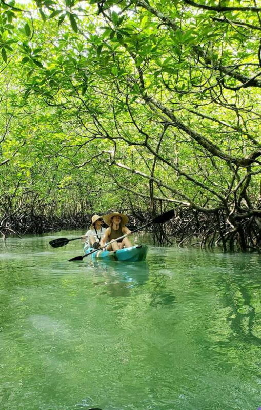 Langkawi : Kilim Geoforest Mangrove Kayak Tour with Lunch - Final Thoughts: Who Will Love This Experience?