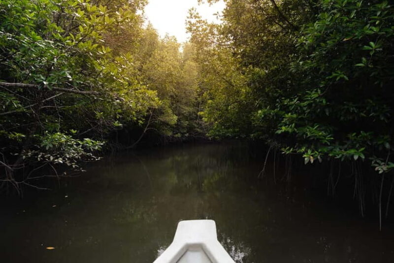 Langkawi: Kilim Geopark Mangrove Tour with Eagle Watching - The Stops and Sights