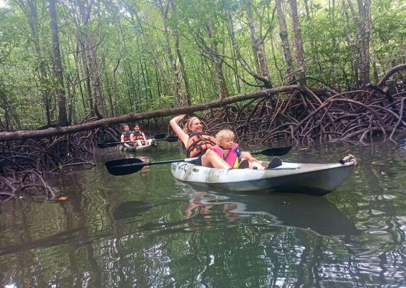 Langkawi: Kilim River Mangrove Safari Kayaking Tour - Who Will Enjoy This Tour?