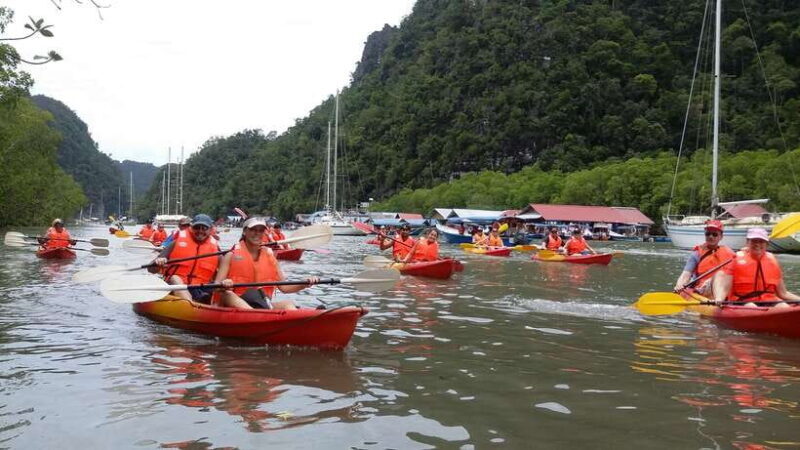 Langkawi: Kilim River Mangrove Safari Kayaking Tour - The Sum Up