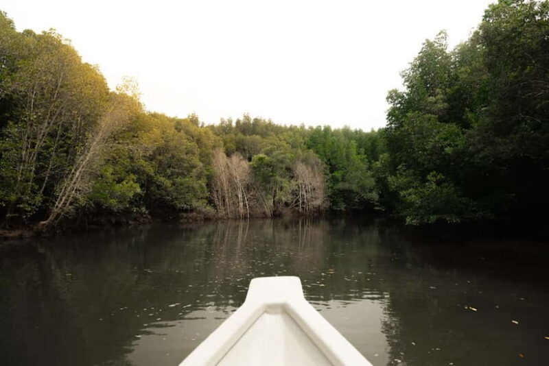 Langkawi Mangrove Boat River Cruise and Private Beach Tour - A Closer Look at the Langkawi Mangrove Boat and Beach Tour