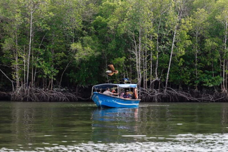 Langkawi Mangrove Boat River Cruise and Private Beach Tour - The Sum Up