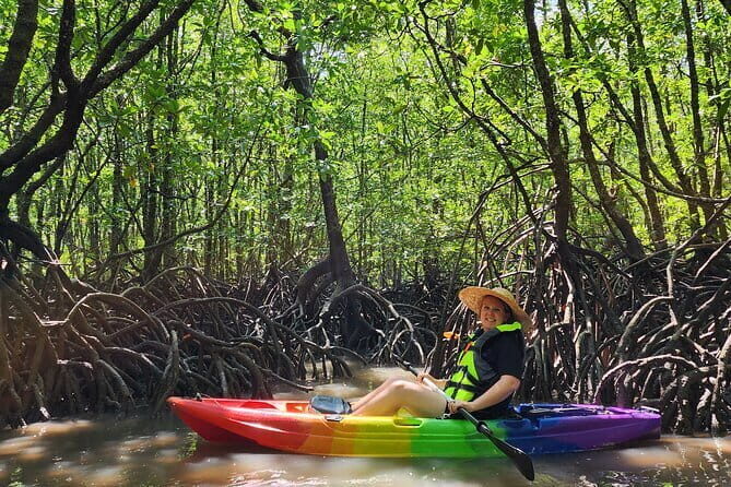 Langkawi Mangrove Kayak Tour by Sham - An In-Depth Look at the Langkawi Mangrove Kayak Tour