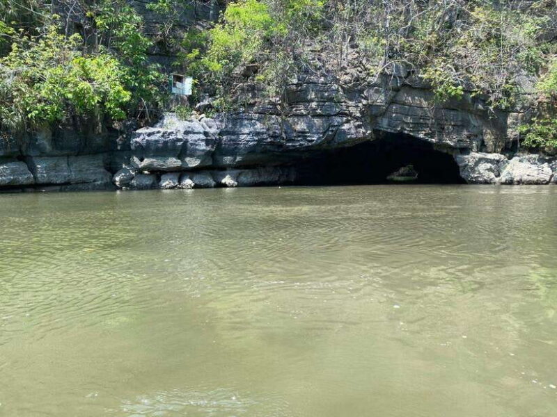 Langkawi Mangrove Monkey Package - Exploring the Langkawi Mangrove Monkey Package in Detail