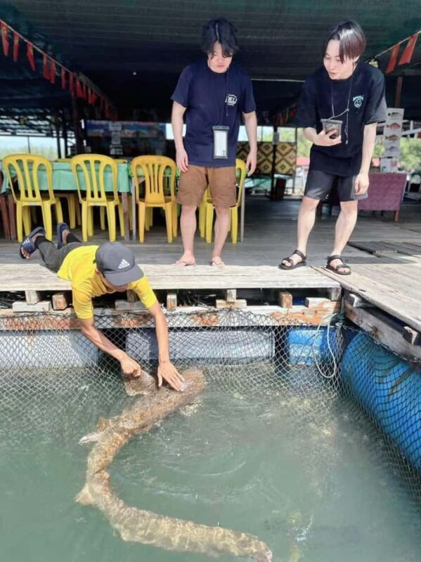 Langkawi Mangrove : Sharing Boat 3Hour estimated (lunch) - FAQ
