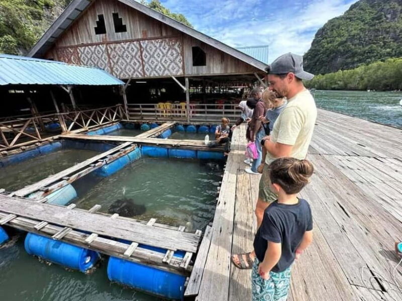 Langkawi Mangrove Tour : Estimated 1 hour Lunch Available - Who Will Enjoy This Tour?
