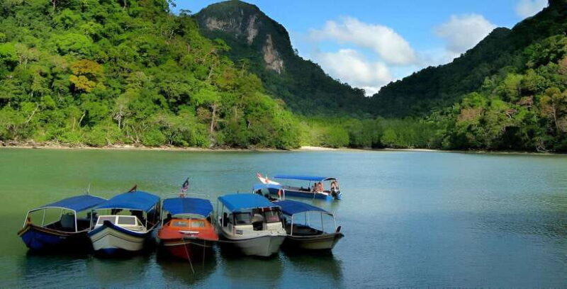 Langkawi: Mangrove Tour with Kilim Geoforest Park & Bat Cave - Final Thoughts