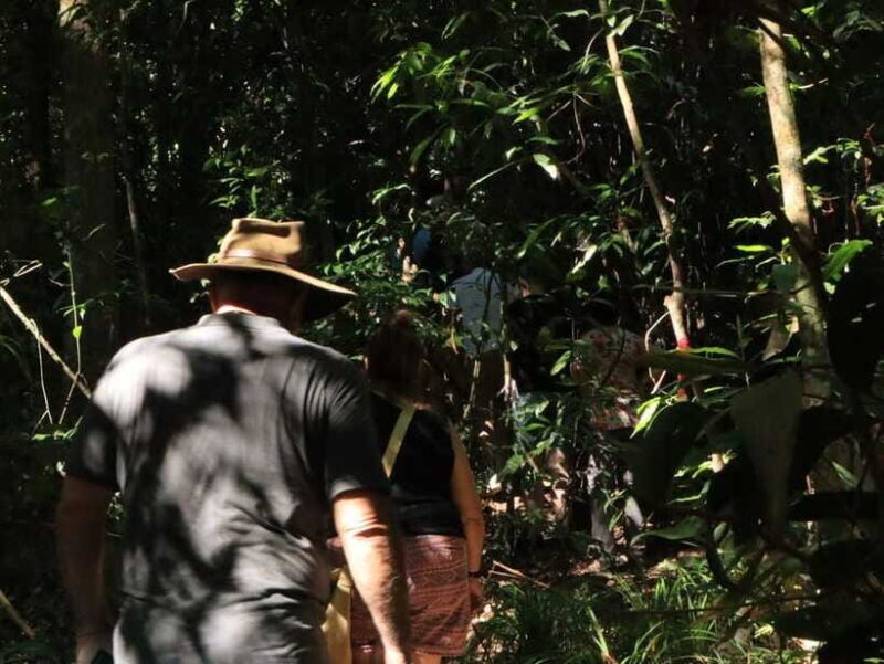 Langkawi: Morning Rainforest Walking Tour - Final Thoughts