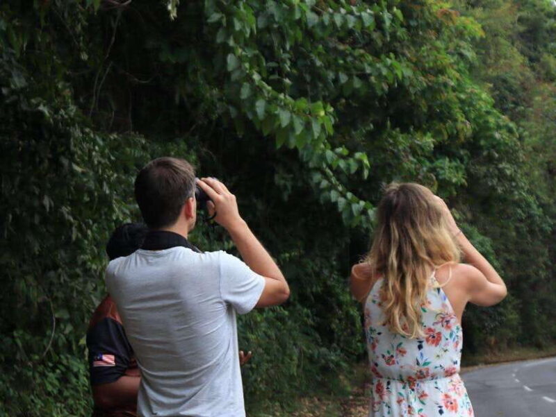 Langkawi: Nighttime Rainforest Tour with Nature Guide - What Makes This Tour Truly Valuable