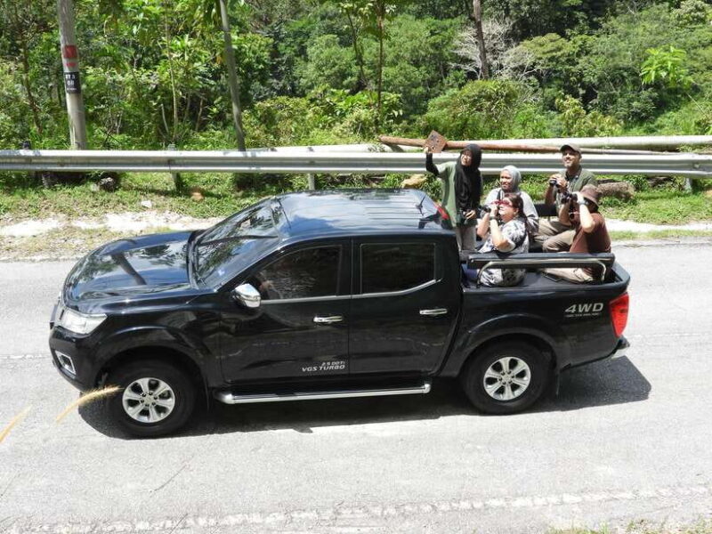 Langkawi: Nighttime Rainforest Tour with Nature Guide - From the Reviews: Authentic Encounters and Expert Guides