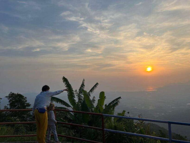 Langkawi: Nighttime Rainforest Tour with Nature Guide - Practical Details and Tips for Travelers
