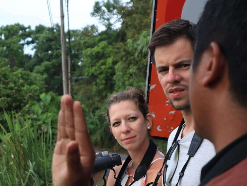 Langkawi: Nighttime Rainforest Tour with Nature Guide - Who Is This Tour Best For?