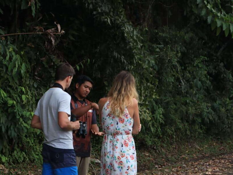 Langkawi: Nighttime Rainforest Tour with Nature Guide - The Sum Up