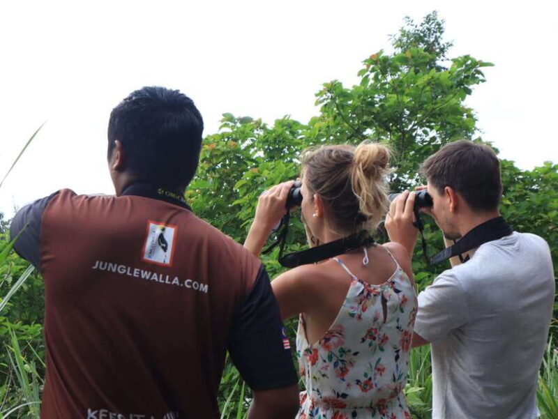 Langkawi: Nighttime Rainforest Tour with Nature Guide - FAQ