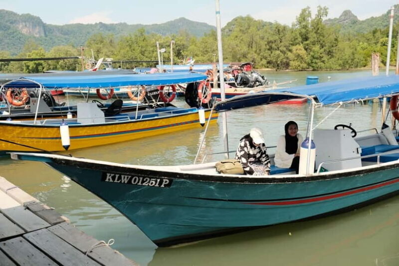 Langkawi: Private 2-Hour Mangrove Tour with Hotel Transfer - Exploring the Langkawi Mangroves: A Private 2-Hour Tour Worth Considering