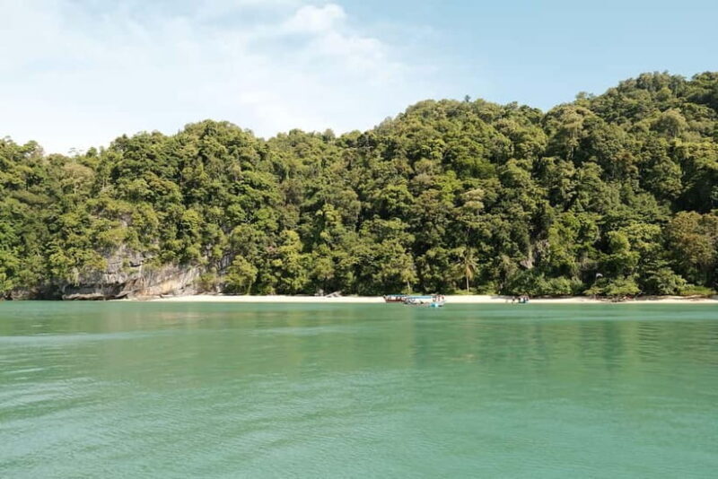 Langkawi: Private 2-Hour Mangrove Tour with Hotel Transfer - Who Should Consider This Tour?