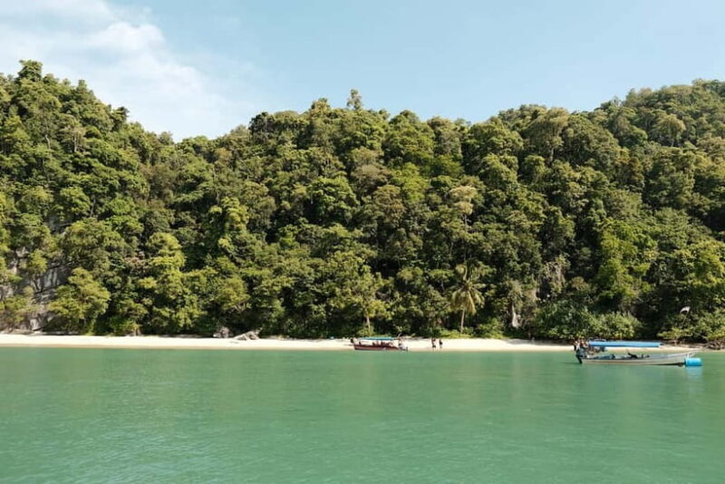 Langkawi: Private 2-Hour Mangrove Tour with Hotel Transfer - Final Thoughts