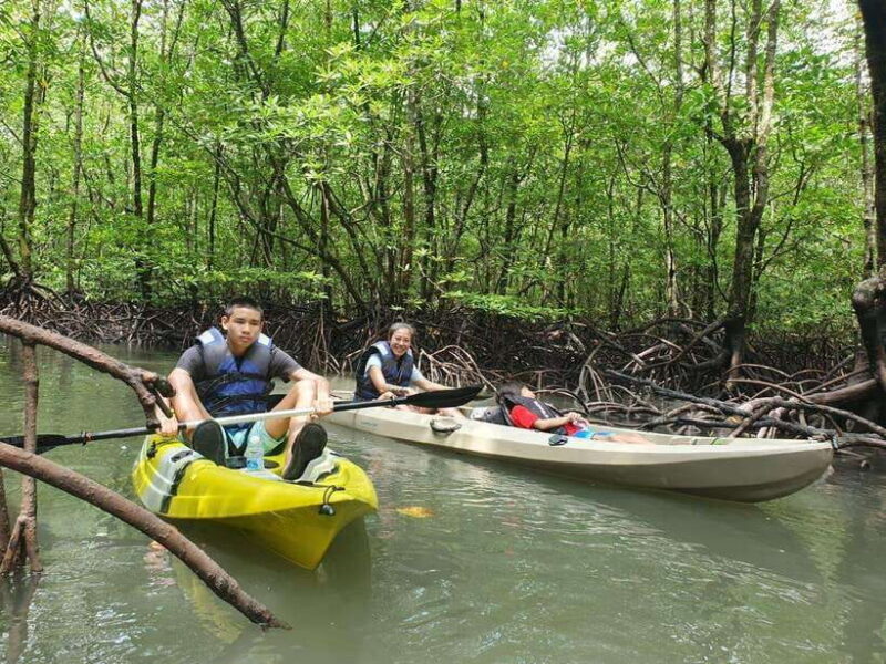 Langkawi: Sunset Kayaking Tour - The Sum Up