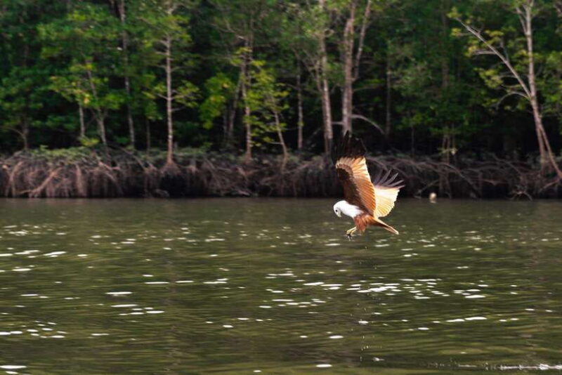 Langkawi Tanjung Rhu Mangrove Private Boat Tour 2 Hours - Why This Tour Is Worth Considering