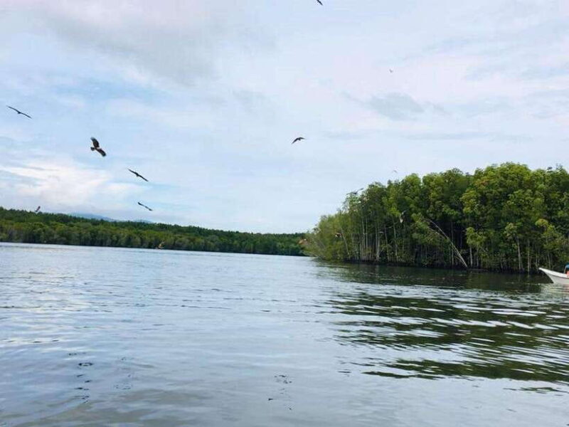 Langkawi: Tanjung Rhu Mangrove Speedboat Tour - Value and Practical Tips