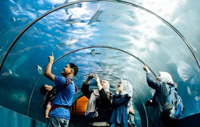Langkawi: Underwater World Langkawi Entry Ticket - A Closer Look at Underwater World Langkawi