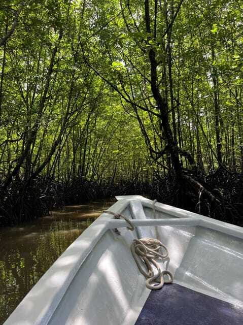 Langkawi: UNESCO Global Geopark Mangrove Cruise - Frequently Asked Questions