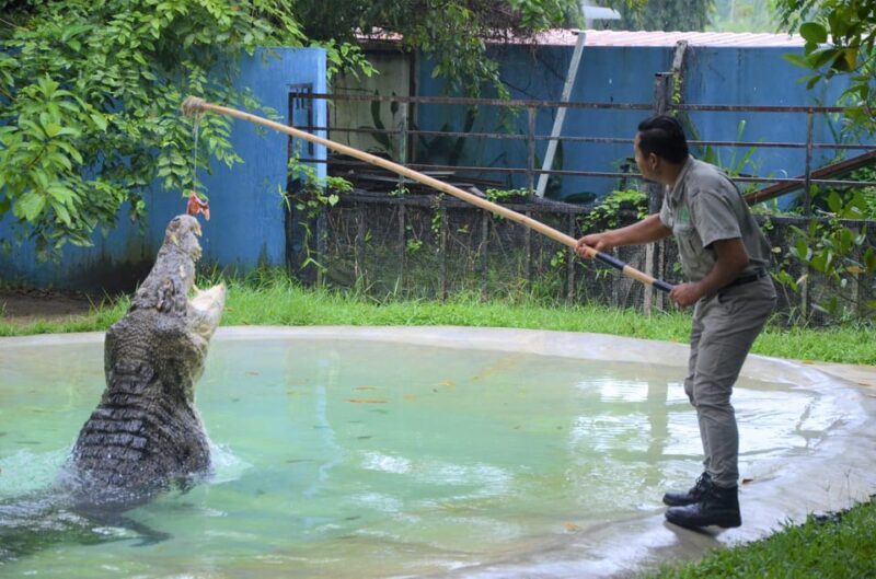 Langkawi: Wildlife Park Admission Ticket - Key Points