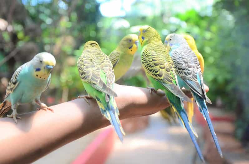 Langkawi: Wildlife Park Admission Ticket - What to Expect During Your Visit