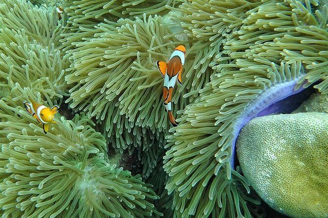 Lanta 4 Islands + Emerald Cave Snorkeling Tour - Authentic Experiences and Traveler Insights