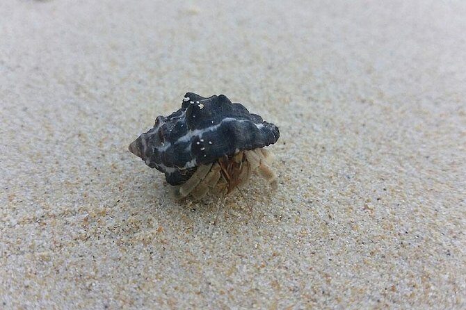 Lanta 4 Islands + Emerald Cave Snorkeling Tour - The Sum Up