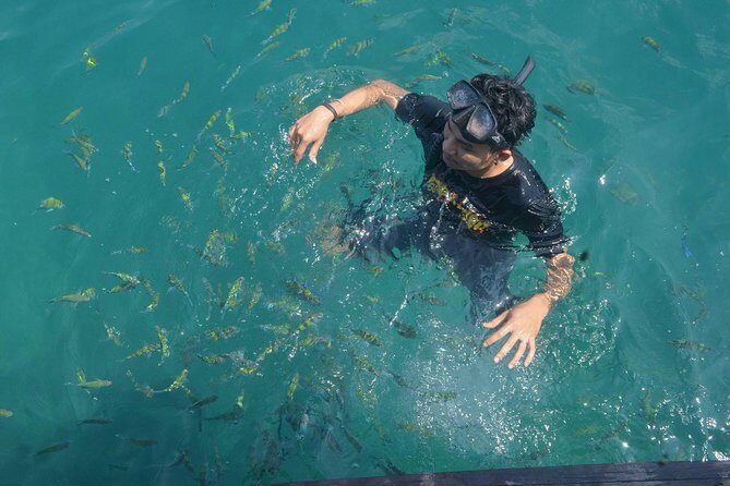 Lanta 4 Islands tour (Longtail boat) - The Sum Up