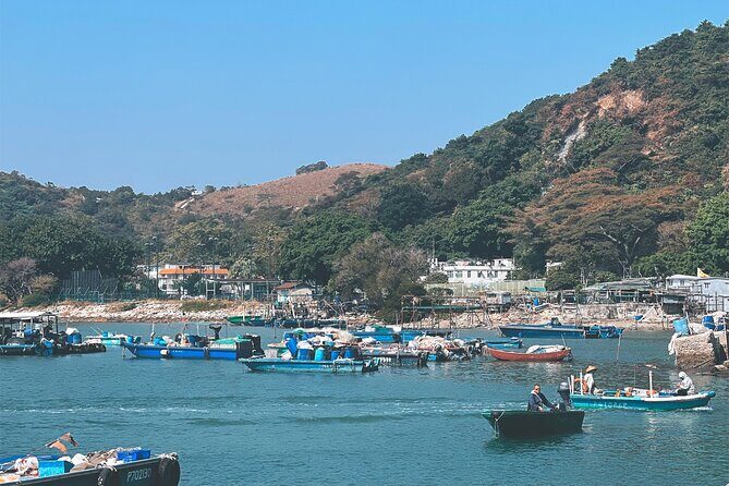 Lantau Group Tour: Dolphin Watching, Fishing Village & Cable Car - FAQ