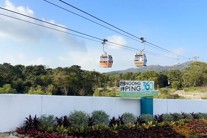 Lantau Island and Giant Buddha Cable Car Group Tour with Hotel Pickup in Hong Kong Island - The value proposition