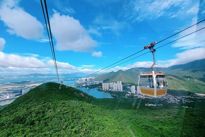 Lantau Island and Giant Buddha Cable Car Group Tour with Hotel Pickup in Hong Kong Island - Who this tour is best for