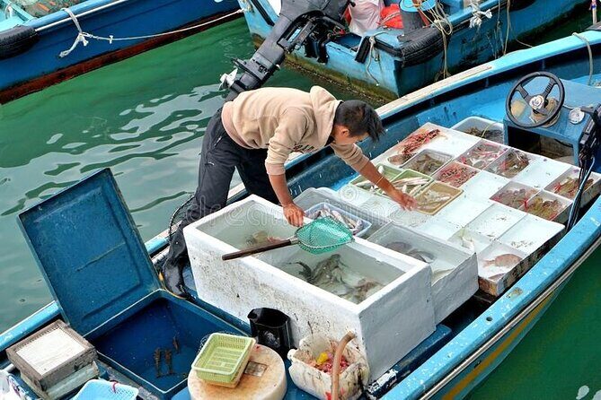 Lantau Island Day Trip - Big Buddha & Tai O (2024) | 1k+ booked - FAQ