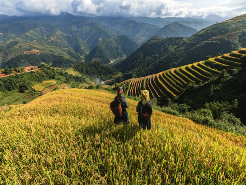 Lao Chai: Full-Day Ta Van Trek Tour from Sapa - Key Points