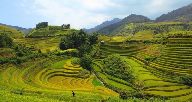 Lao Chai: Full-Day Ta Van Trek Tour from Sapa - Final Thoughts