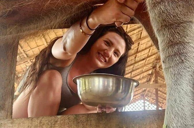 Laos Buffalo Dairy Tours Interact, Learn and Taste Fresh Flavors - Wrapping Up