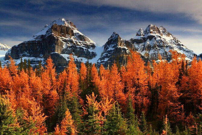 Larch Valley/Moraine Lake Shuttle Transfer from Banff and Canmore - Key Points