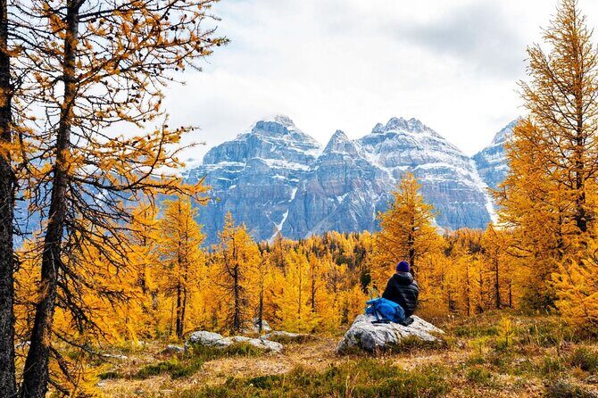Larch Valley/Moraine Lake Shuttle Transfer from Banff and Canmore - Evaluating the Cost and Value