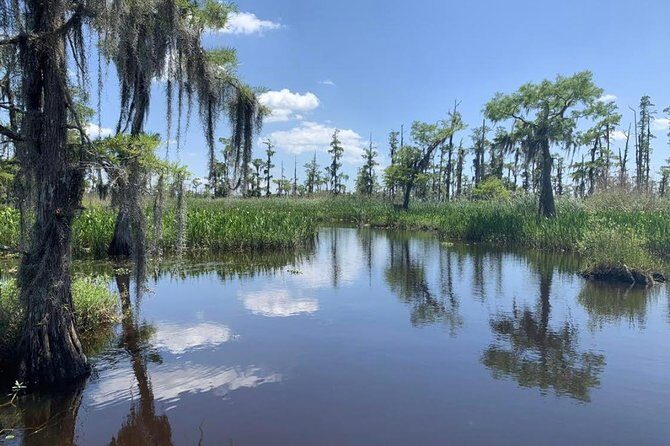 Large Airboat Swamp Tour with Transportation from New Orleans - FAQs